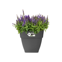 vibia campana square 30cm anthracite